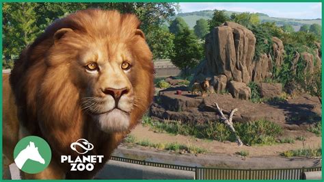 West African Lion Habitat | Elm Hill City Zoo | Planet Zoo - YouTube