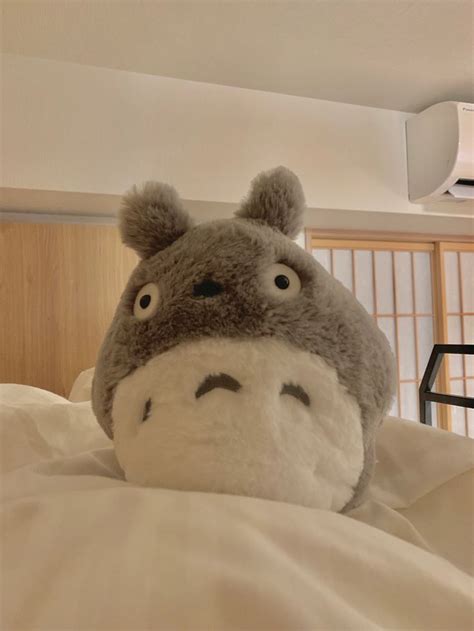 Totoro | Cute stuffed animals, Totoro plush, Teddy bear wallpaper