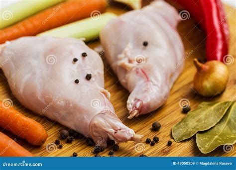 Raw rabbit meat stock image. Image of horizontal, ingredient - 49050209