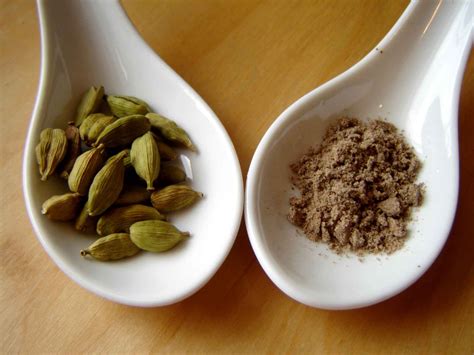 Journey with Gastroparesis: Spice Remedies Part 1: Cardamom Cures and ...