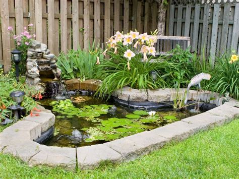 Information On How To Build A Small Pond In Your Garden