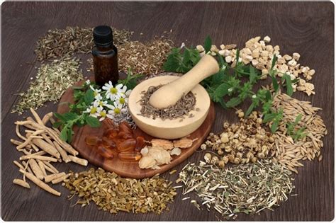 Herbal versus Synthetic Medicines - Erwotex.net