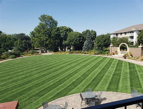 Lawn Striping and Lawn Patterns | Scag Power Equipment