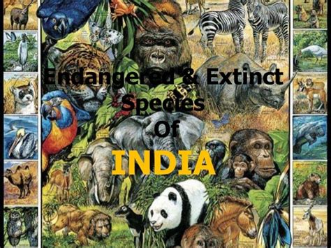 Endangered & extinct species of animals found in India