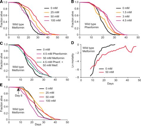 The Biguanide Drugs Phenformin and Metformin Decelerat | Open-i