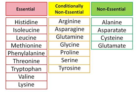 Are amino acids bad for you