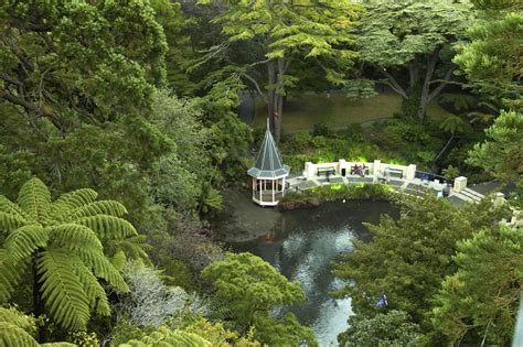 Duck Pond at Wellington Botanic Garden | View from walking t… | Flickr