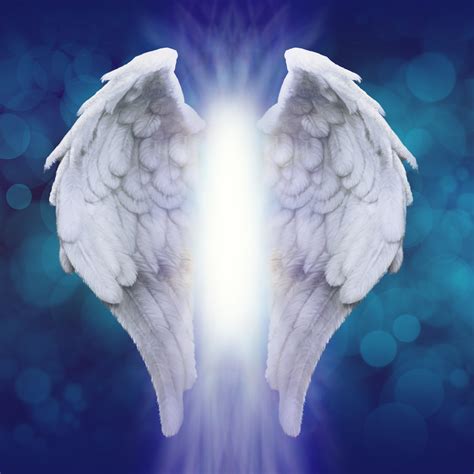 Angelic Wings Scent in 2020 | Angel wings background, Wings, Angel posters