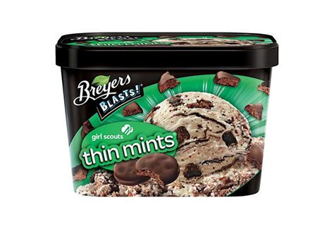 Ice Cream | Thin mints, Mint ice cream, Girl scout thin mints