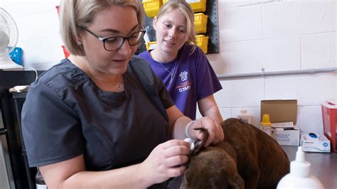 Pensacola Humane Society' opens new Talley Group Shelter Clinic