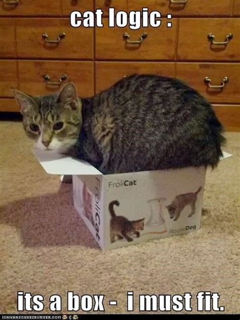 Red Mister: Ten Examples of Cat Logic...