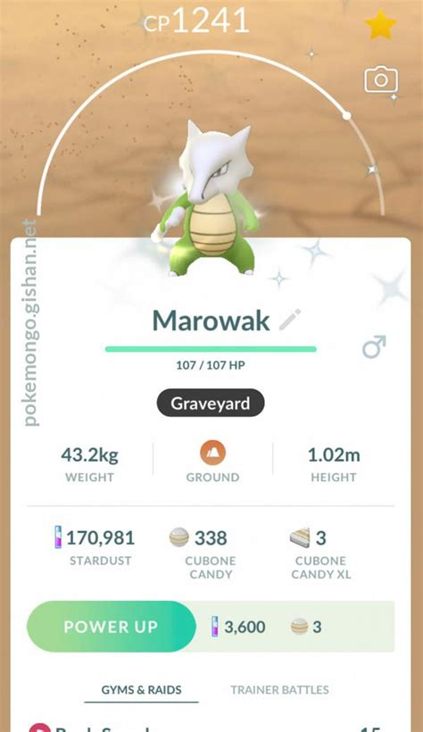 Shiny Marowak - Pokemon Go