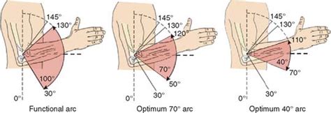 Functional Evaluation of the Elbow | Musculoskeletal Key