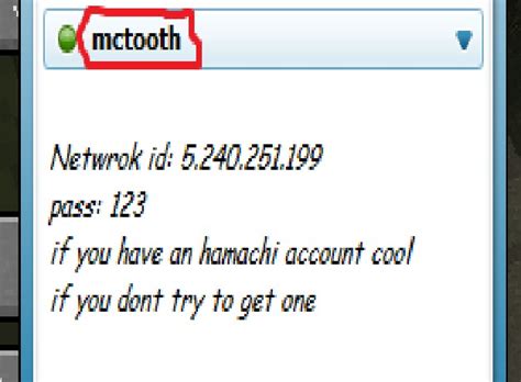 My minecraft hamachi server