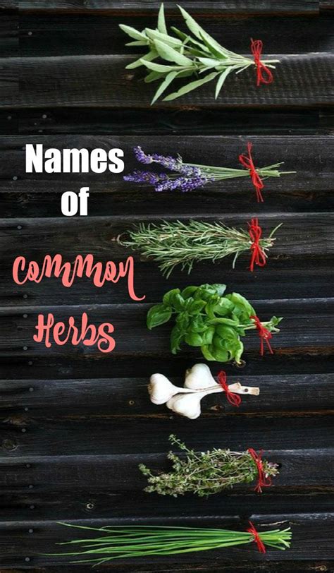 Herb Identification - Identifying Fresh Herbs - Free Gardening Printable