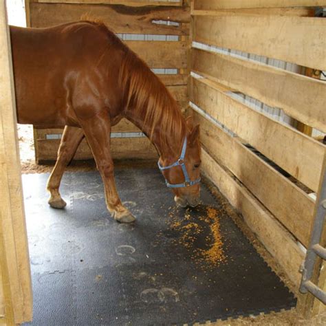 Interlocking Portable Horse Stall Mats 3/4 Inch x 2x2 Ft.