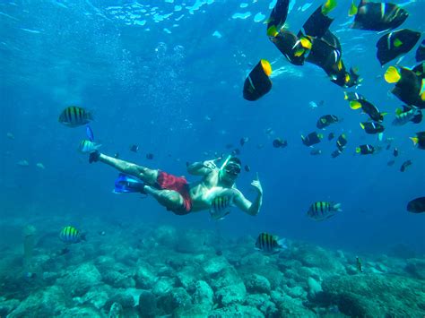 Snorkeling in Puerto Vallarta | Vallarta Adventures