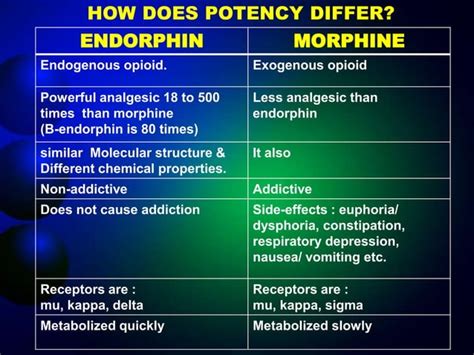 presentation on Endorphin hormone | PPT