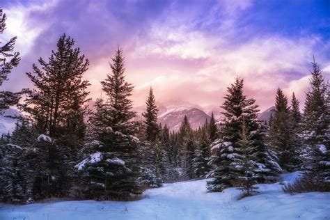 nature, Landscape, Forest, Winter, Mountain, Clouds, Snow, Pine Trees ...