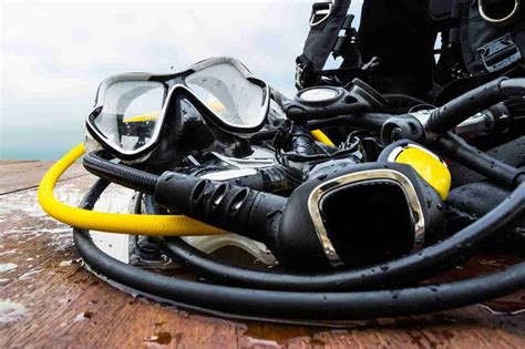 Essential Scuba Diving Equipment: Everything You Need to Know - Seafari