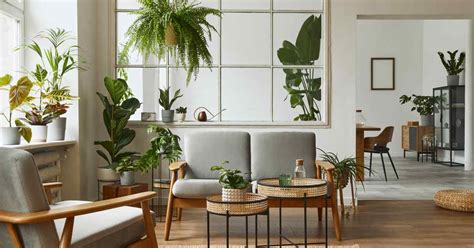 Beautiful Living Room Indoor Plants That Every House Needs.