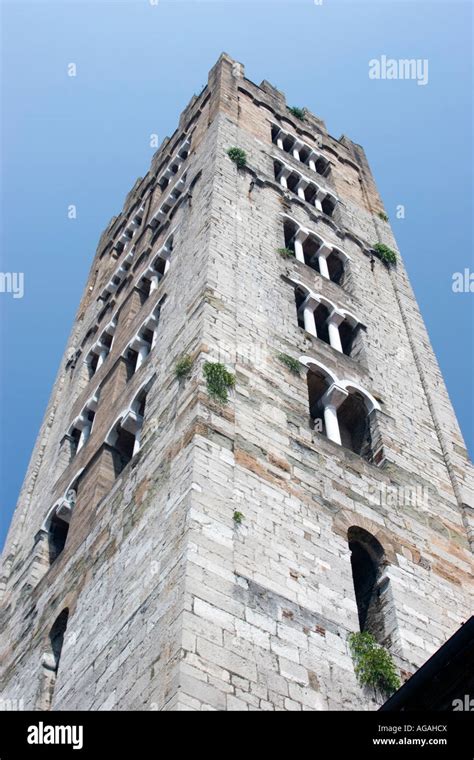 The San Martino church tower in Lucca, Italy Stock Photo - Alamy