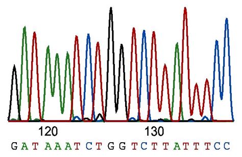 Sanger Sequencing: How The Genome Was Won