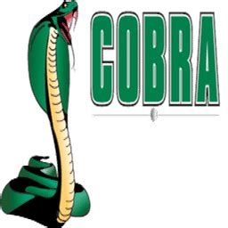 Cobra Concrete Cutting Services