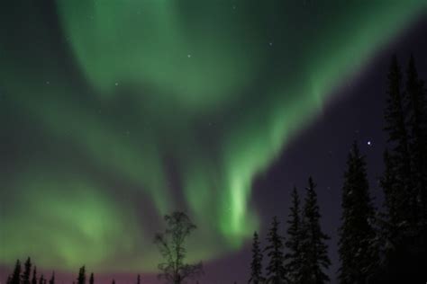 Fairbanks, Alaska Activities | Tours with Princess Lodges