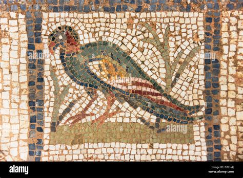 Mosaic in El Djem Museum, Tunisia Stock Photo - Alamy