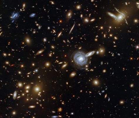 A Menagerie of Galaxies: Hubble Captures a Cluster With Galaxies of All ...