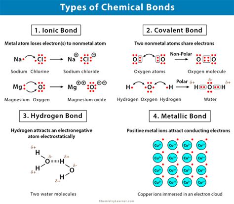 List and Explain the Five Different Types of Bonds