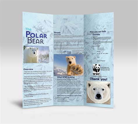 Polar Bear WWF Brochure :: Behance