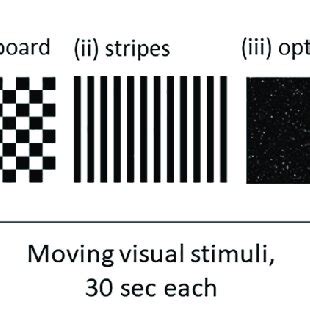 An order of visual stimuli for the gaze stability test. (i ...