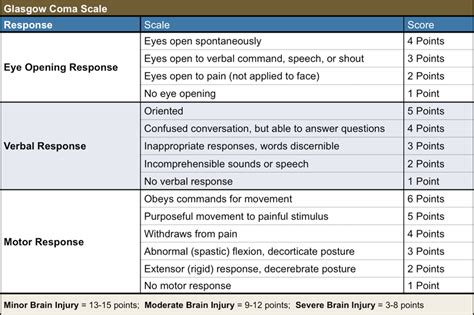 Glasgow Coma Scale Indonesia