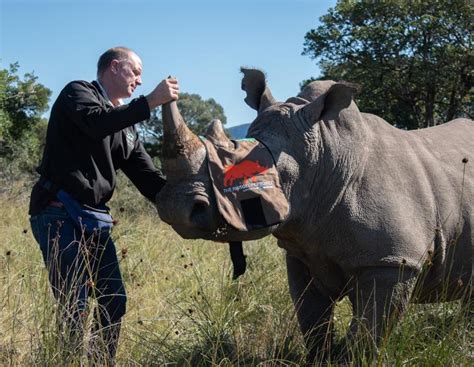 Rhino Horn Poaching