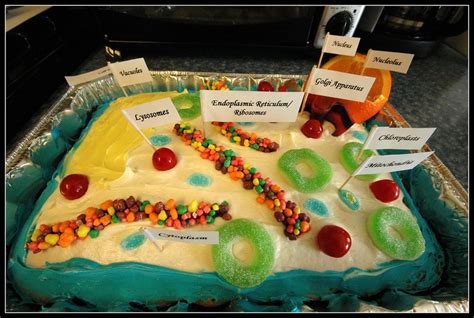 Plant cell cake | Science: Biology: Cells | Pinterest | Plant cell and ...