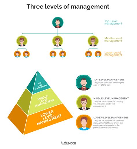 Organizational Chart Infographic Business Hierarchy Boss To Employee ...