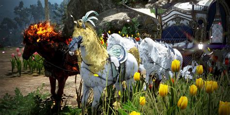 BDO Dream Horse Guide (Black Desert Online) | GrumpyG