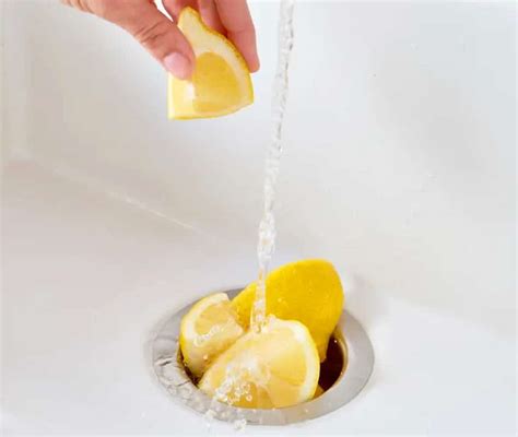 Should You Put Lemon in a Garbage Disposal? Here's the Answer