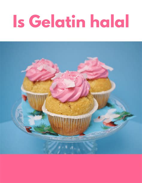 Is Gelatin Halal? Here Is A Clear Answer