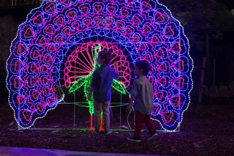 Pinecrest Gardens' Enchanting "Nights Of Lights" Kicks Off This Weekend