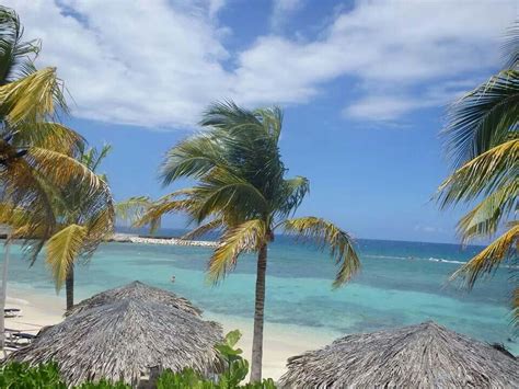 Lucea beach, Jamaica | Tropical destinations, Scenery, Favorite places