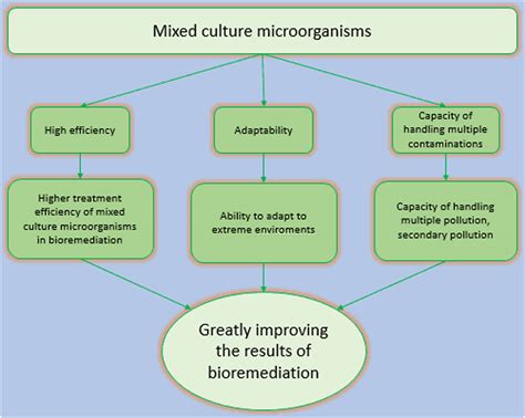 Bioremediation of organic/heavy metal contaminants by mixed cultures of ...