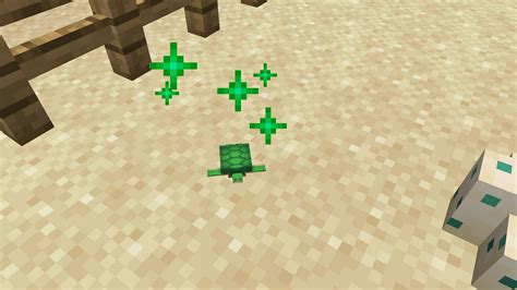 How to Get Turtle Shells in Minecraft: A Step-by-Step Guide - Spwned