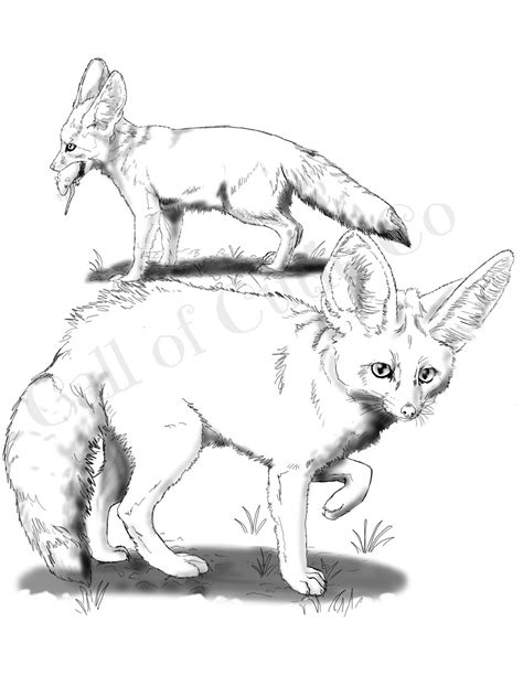 Fennec Fox Coloring Page/fox Color Sheets/animal Color Pages/fox ...