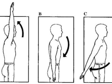 Shoulder Flexion Vs Extension