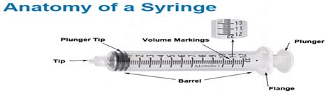 Medicine & Health: Insulin syringes explained