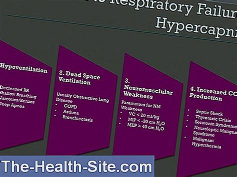 Hypercapnia: Causes, Signs, Therapy 💊 Scientific-Practical Medical ...