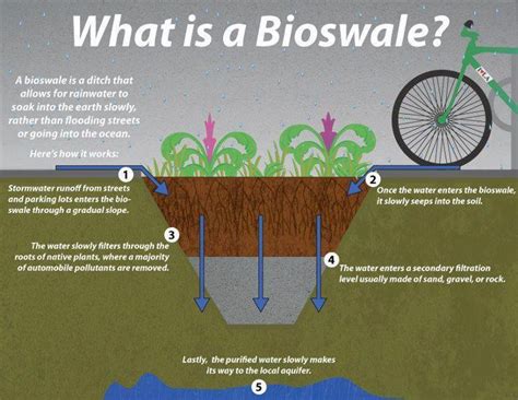 Landscaping Water Runoff | ... pollution from surface runoff water they ...